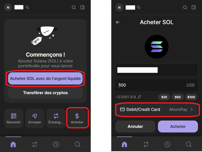 Use of Moonpay via Phantom