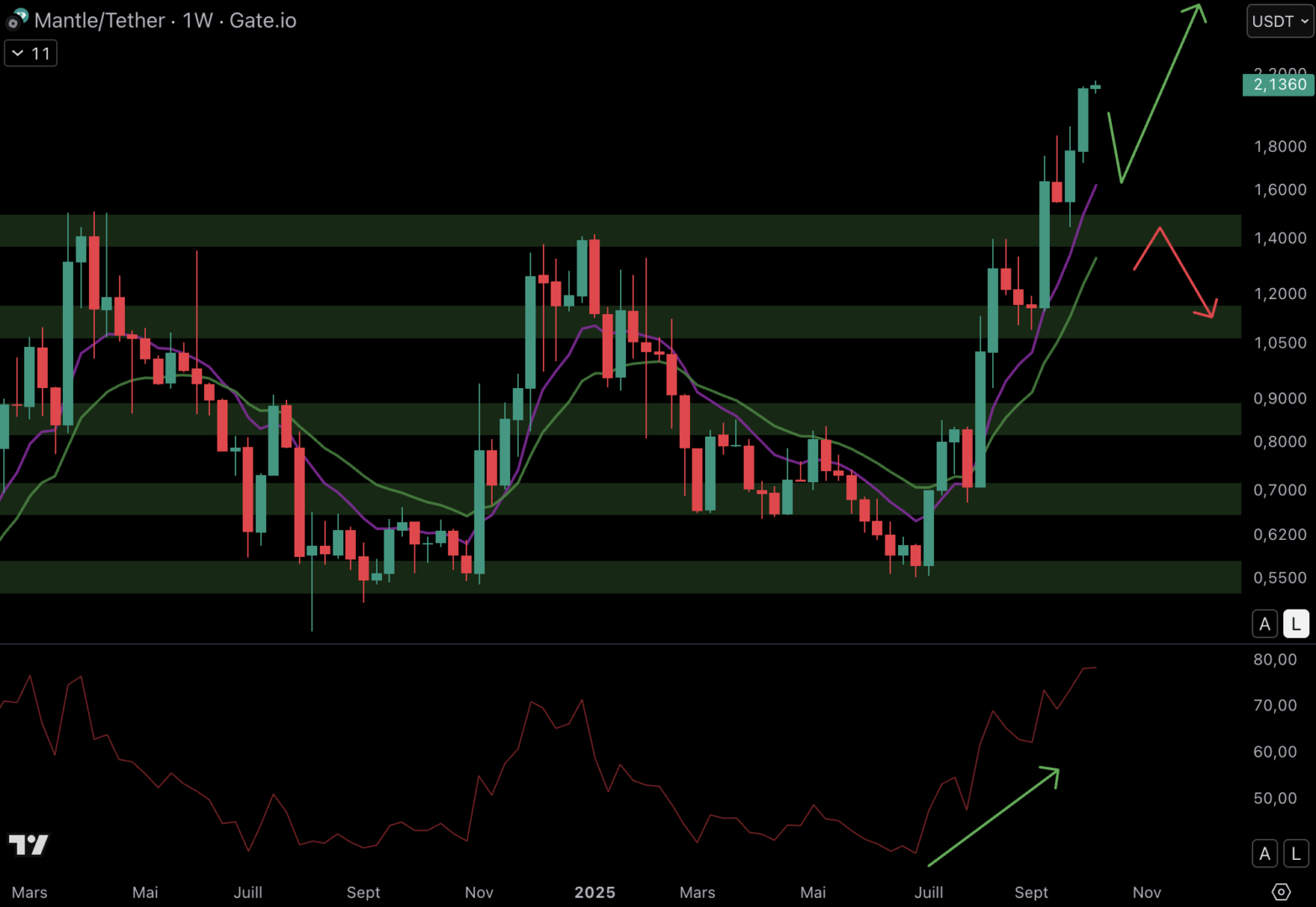MNT has been progressing since July.