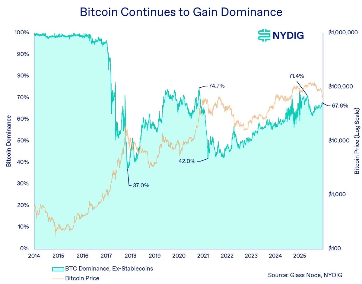 historical graph (2014-2025) which illustrates the market share of Bitcoin compared to the rest of crypto-assets